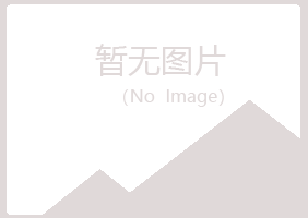 青岛黄岛青槐金融有限公司